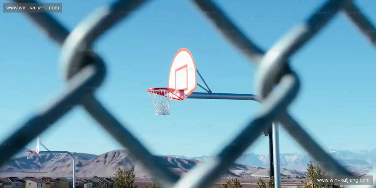 🚀即刻出发,加入全球体育爱好者的狂欢派对!🎉